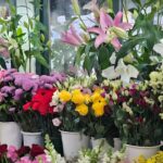 Untitled design - 2025-02-01T165449.740