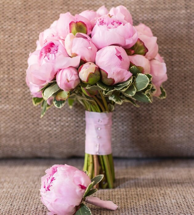 Tea Rose